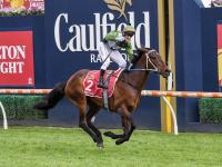 B体育直播-马赛客场大捷，实力备受看好的简单介绍