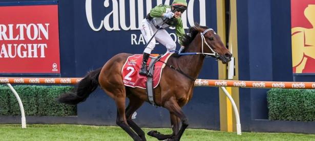 B体育直播-马赛客场大捷，实力备受看好的简单介绍