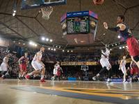 B体育网站-篮网主场大胜掘金，展现出色团队配合的简单介绍