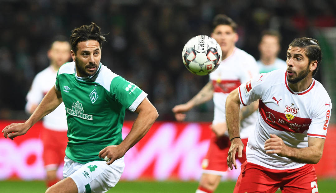 斯图加特球队签约新进攻手,欲提升射门效率的简单介绍 斯图加特球队签约新进攻手,欲提升射门效率的简单介绍