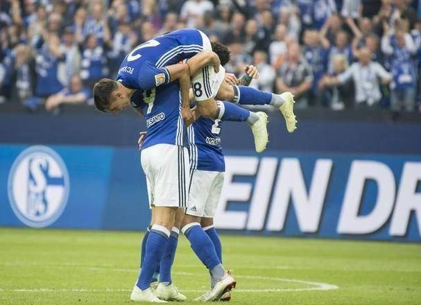 关于沙尔克队主将受伤，球队战力遭遇大考验的信息